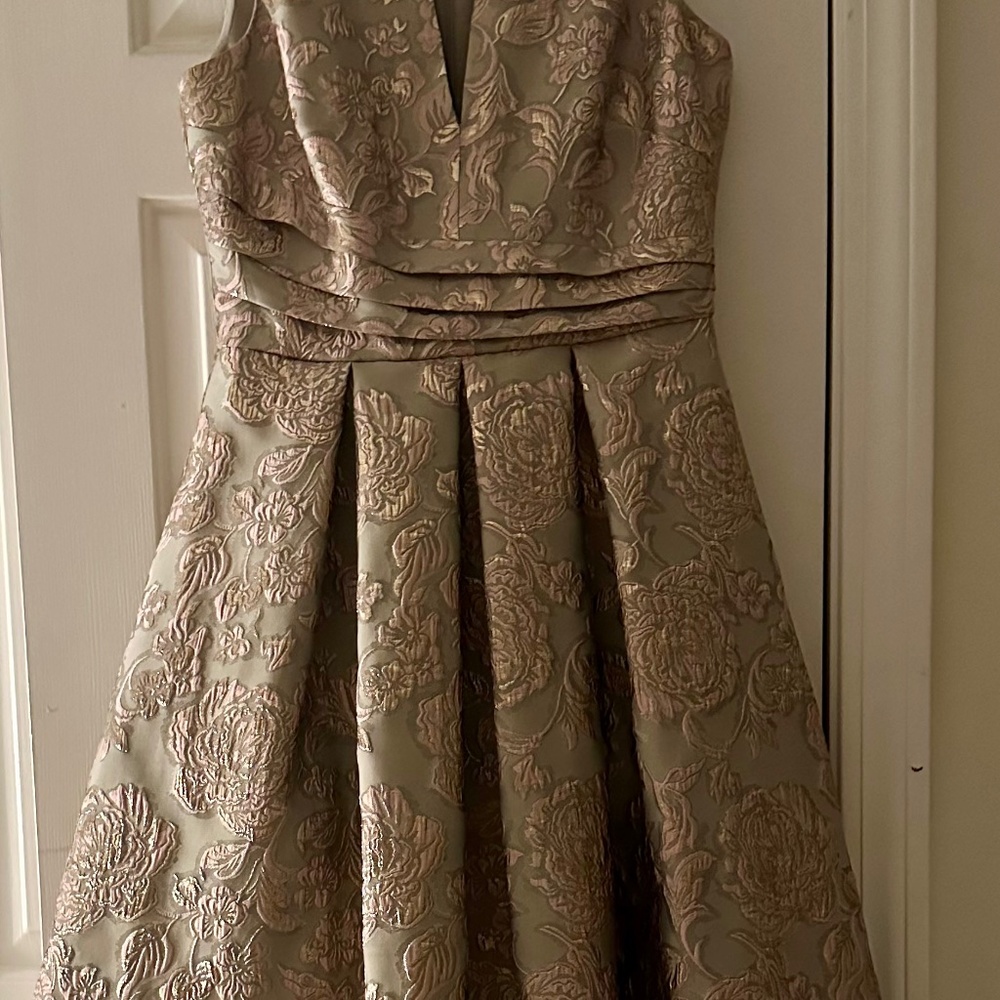 Eliza J Floral Organza Sleeveless V- Dress